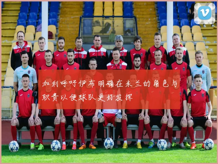 加利呼吁伊布明确在米兰的角色与职责以便球队更好发挥